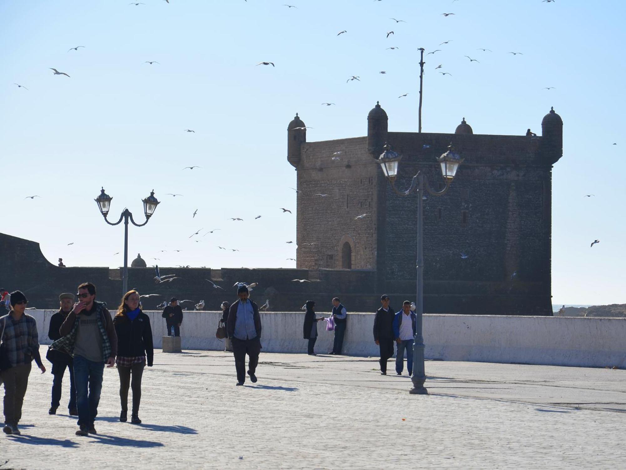 Tweets Hotel Essaouira Exterior photo